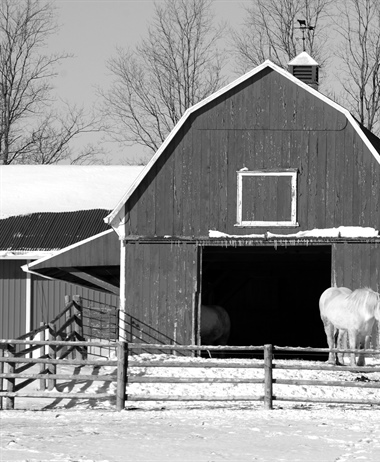 Preparing Your Horse  & Barn for the Winter